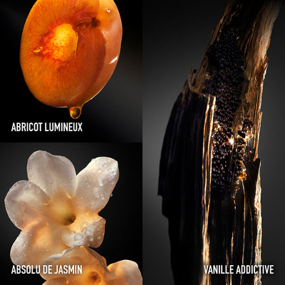 RABANNE - RABANNE Olympéa Absolu - Parfum Intense